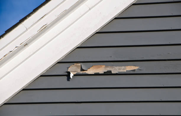 Best Insulated Siding Installation  in Haliimaile, HI